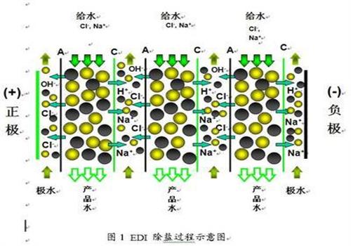 edi純水設備的工（gōng）作原理