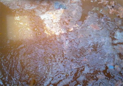 食品廠廢水（shuǐ）