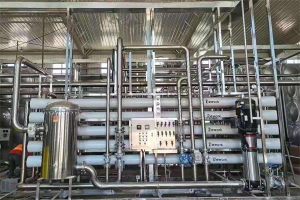 樂清大型（xíng）工（gōng）業反滲透去離子水機設備品牌生產廠家