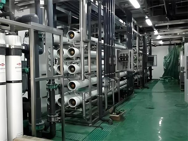 反滲（shèn）透純水處理設備廠家