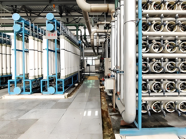 二級反滲透純水機（jī）